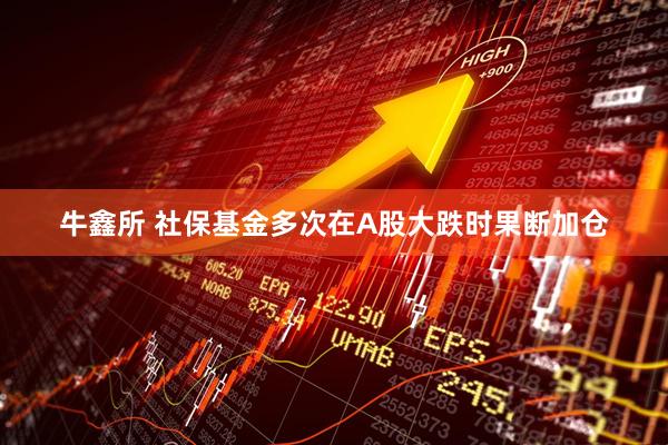 牛鑫所 社保基金多次在A股大跌时果断加仓